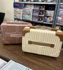 Mini CarryAll Cosmetics & Multipurpose Briefcase