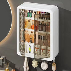 Wall Mounted Storage Cabinet