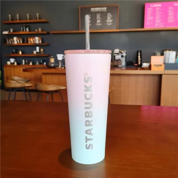 Starbucks 30oz (900ml) Stainless Steel Cold Cup Double Wall Simple Modern Classic Insulated Tumbler with Straw